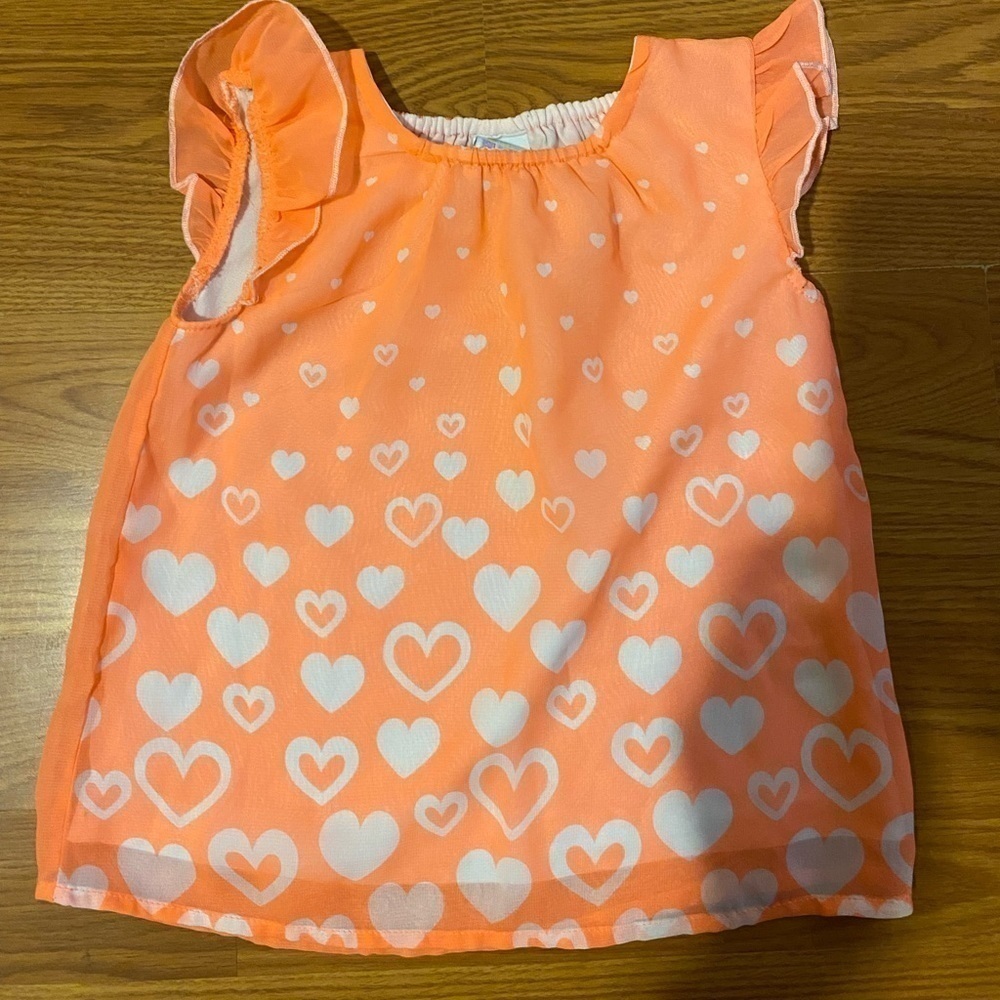 Healthtex Dress 24 months (GF)